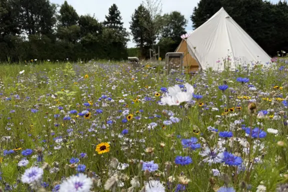 Camping t Weergors off grid Belltent16