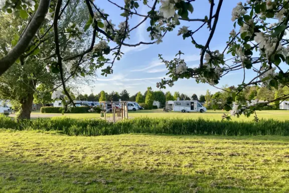 Weide 2 op Camping 't Weergors - Camperplaats