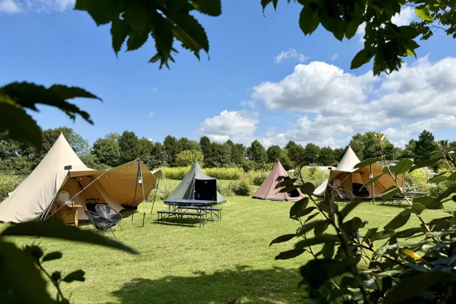 Camping t Weergors De Waard Camp803
