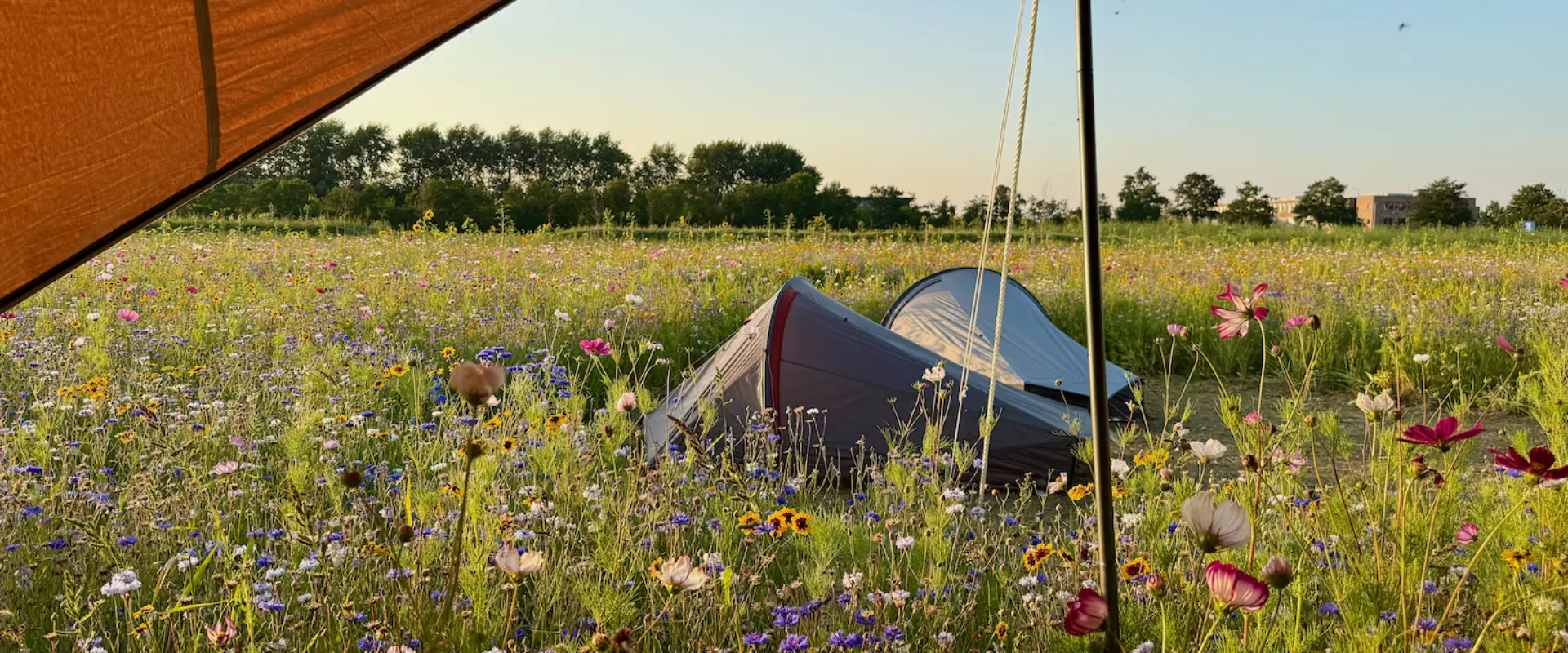 Wilde Weide Camping 't Weergors