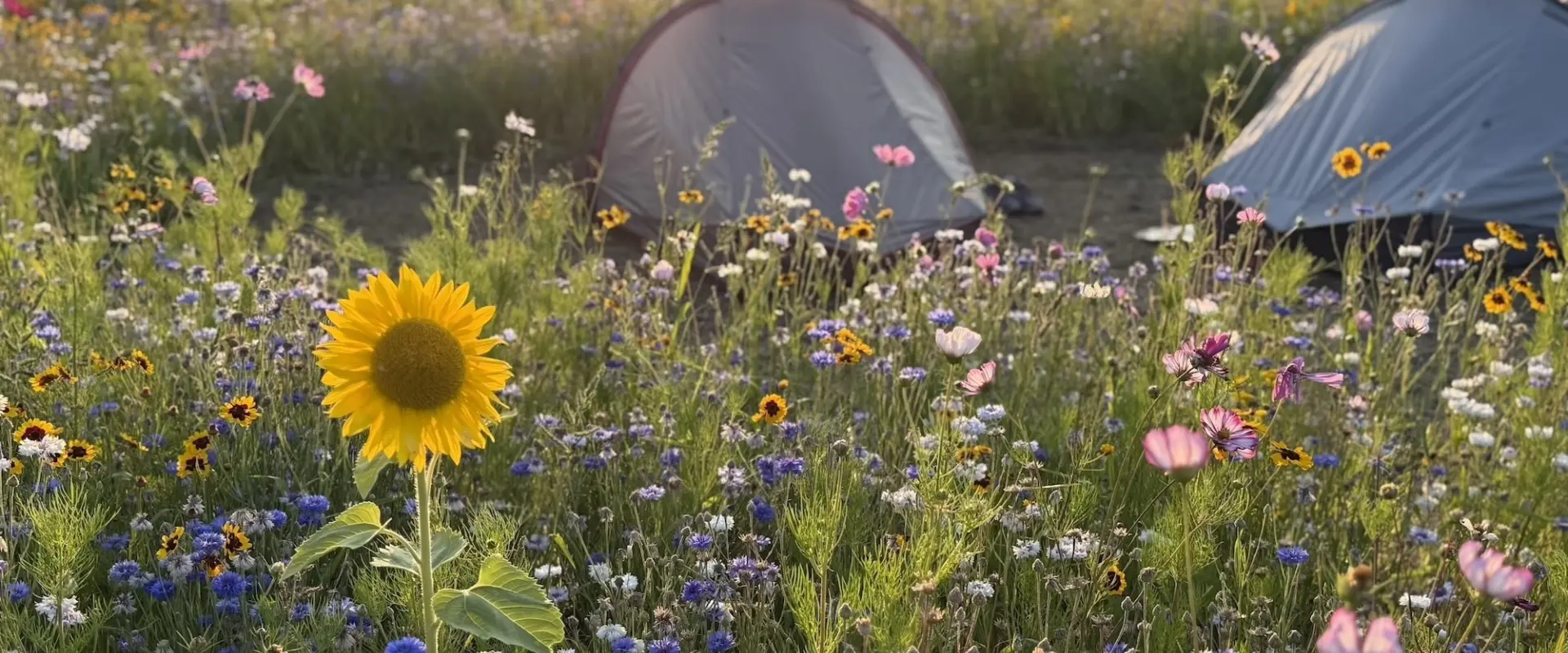 Camping t Weergors off grid Wilde Weide67