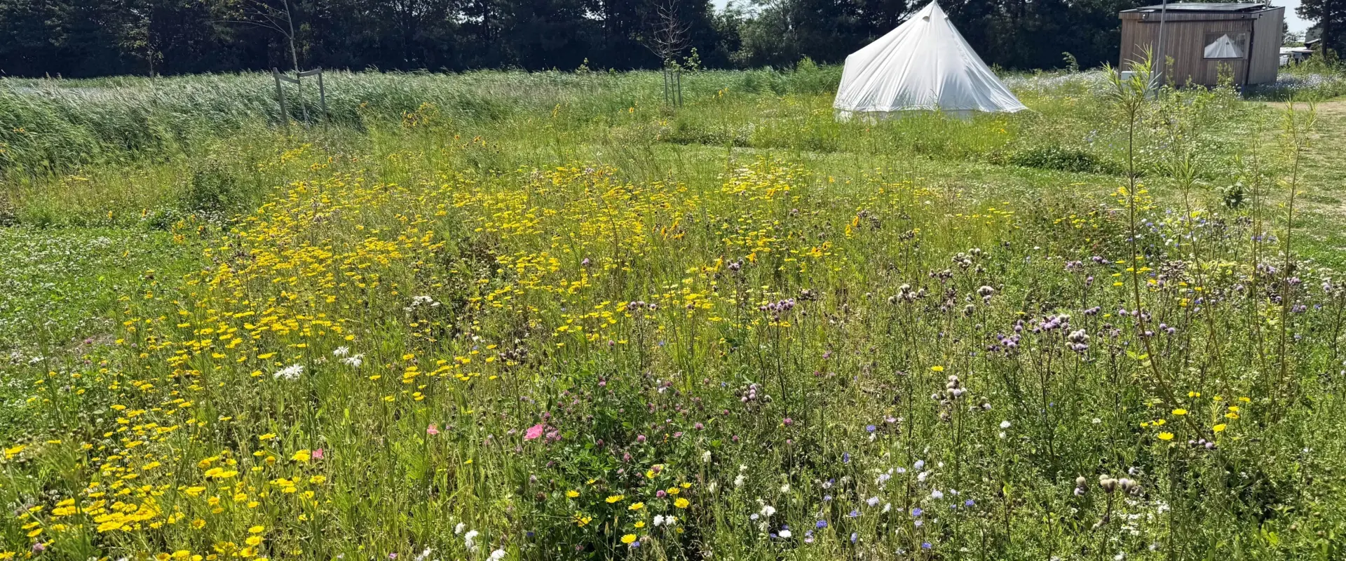 Minivan off grid Wilde Weide Zomer