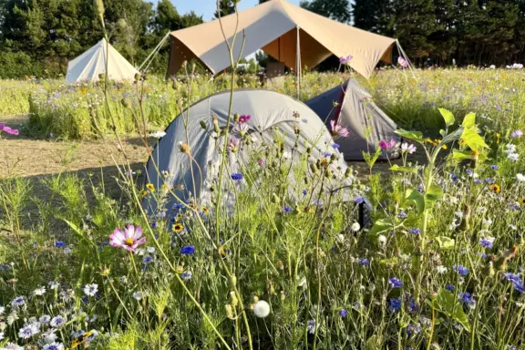 Camping t Weergors off grid Wilde Weide39