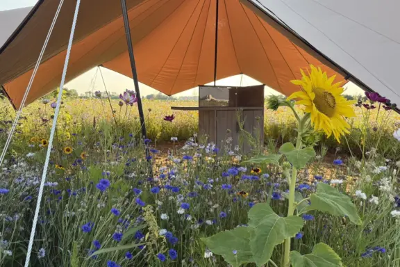 Camping t Weergors off grid Wilde Weide51