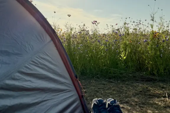 Camping t Weergors off grid Wilde Weide42