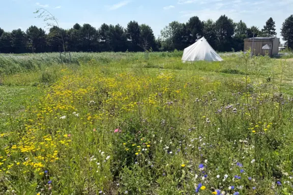 Minivan off grid Wilde Weide Zomer