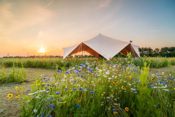 Shelter Wilde Weide