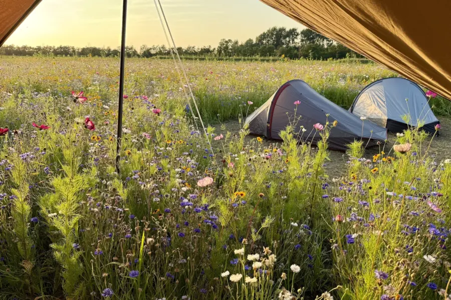 Camping t Weergors off grid Wilde Weide63