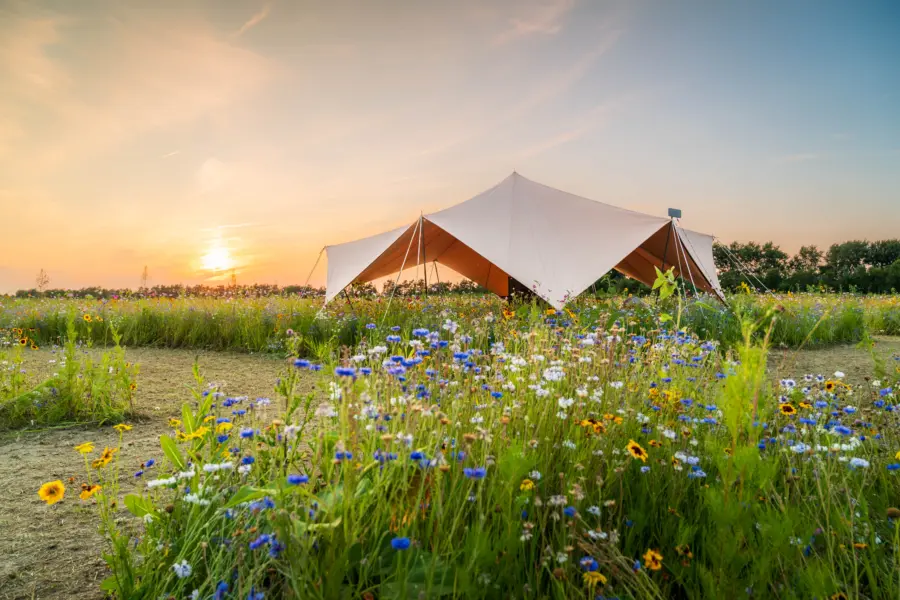 Shelter Wilde Weide
