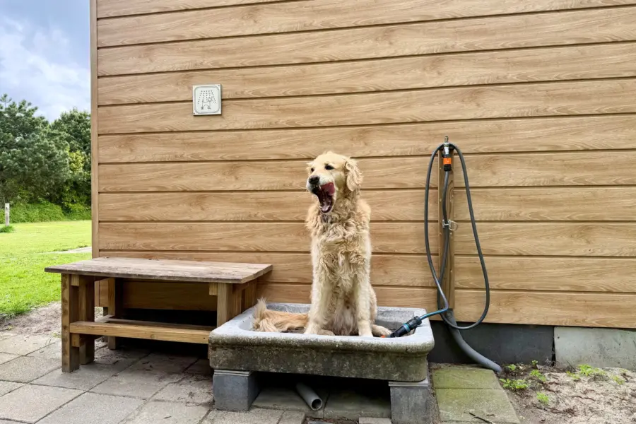 Hondendouche Camping t Weergors