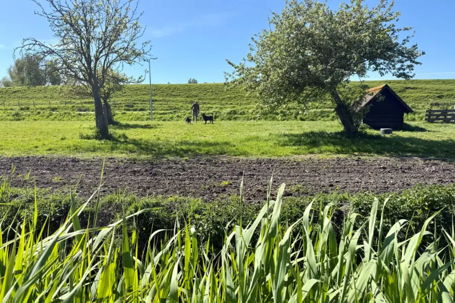 Hondenlosloopveldje Camping t Weergors