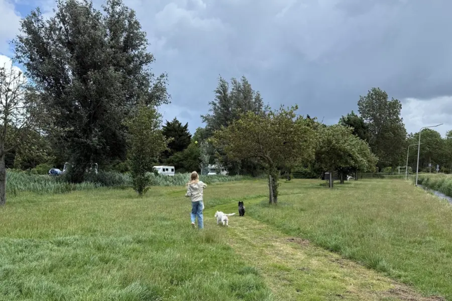 Losloopweide Camping t Weergors
