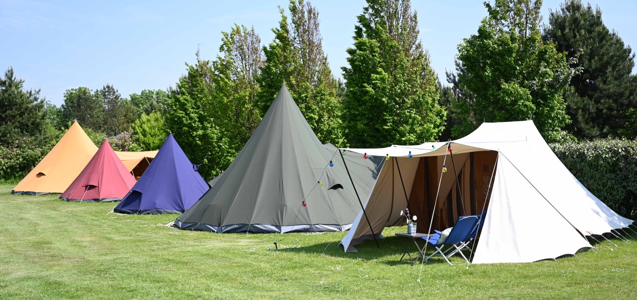 Waard - Camping Weergors